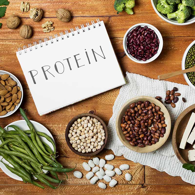 An Essential Guide to Getting Sufficient Protein from a Plant-Based Diet