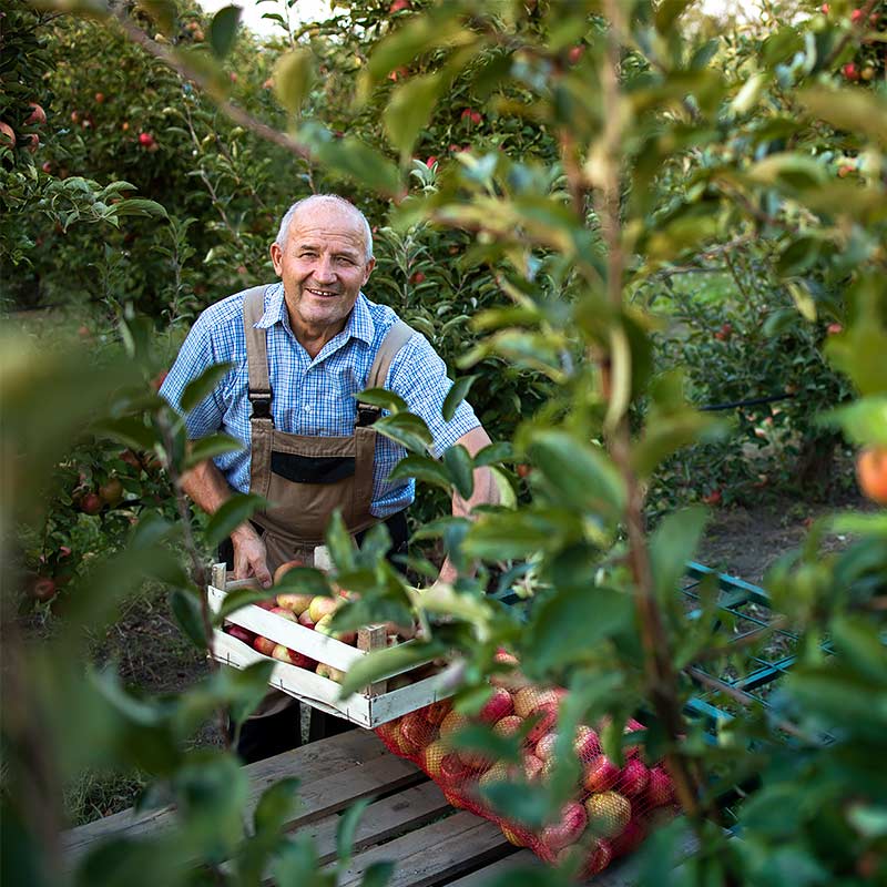 A Guide to Green Agriculture: Sustainable Practices for Future-Ready Farming