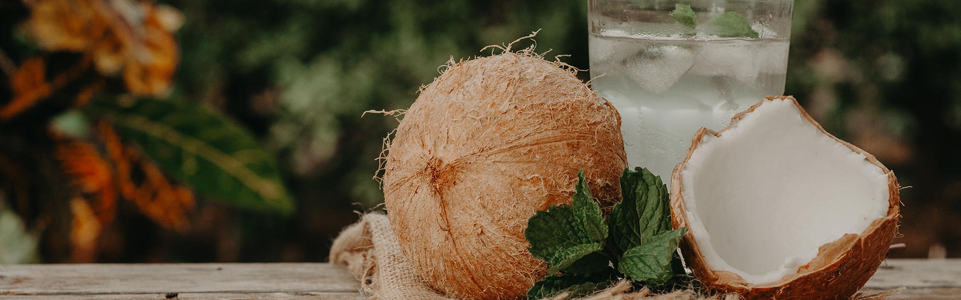 Coconut Production & Its Industrial Uses