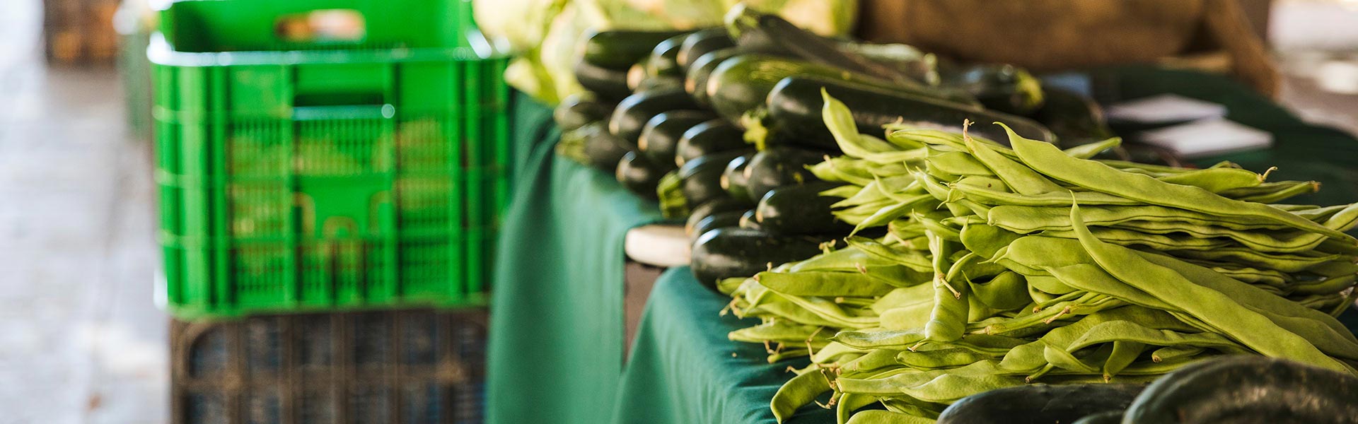 Plant-Based Food & Environment: A Special Guide for Plant-Based Businesses