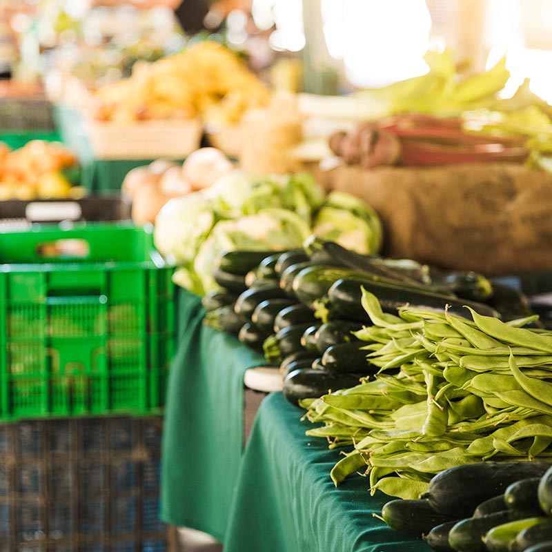 Plant-Based Food & Environment: A Special Guide for Plant-Based Businesses