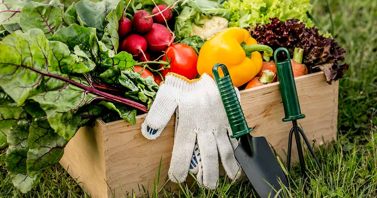 Exploring Recent Trends in Organic Farming: Sustainable and ...