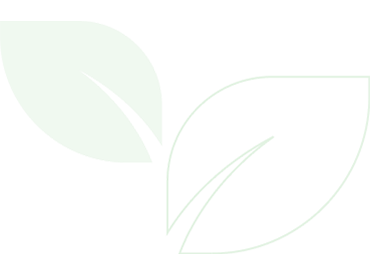 Our Commitment to Sustainability