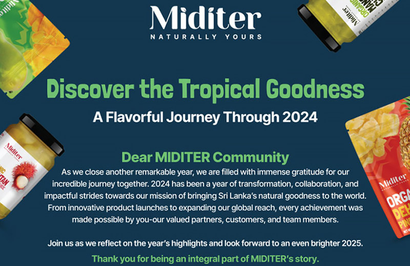 Full Year Review – 2024