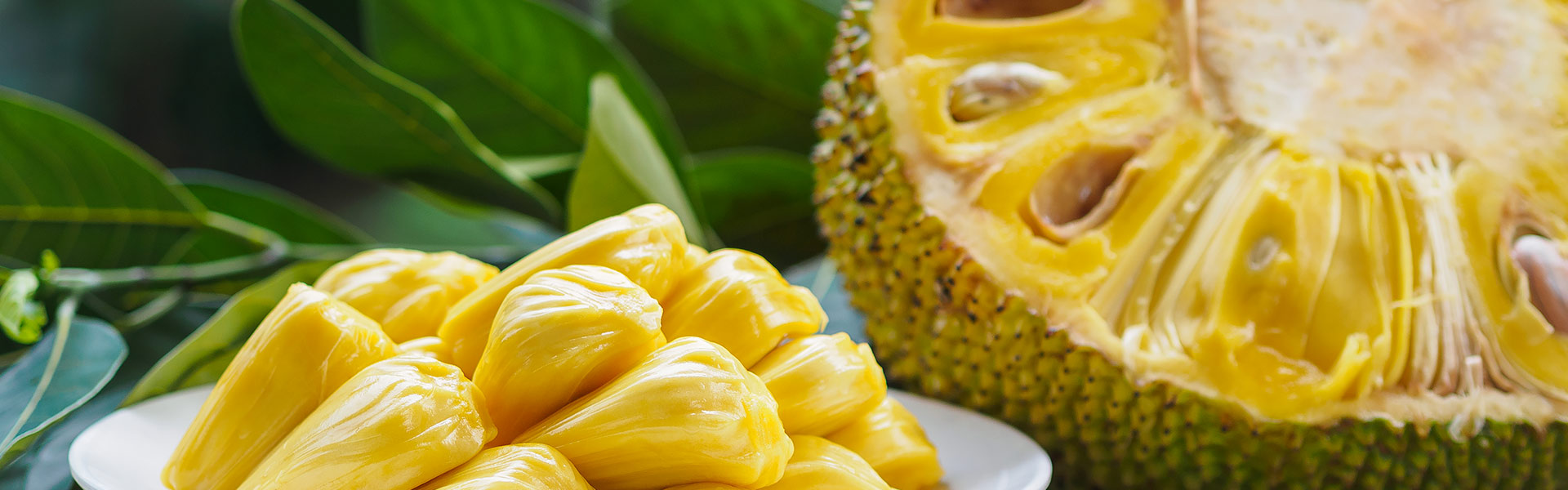 Can Jackfruit Be Part of a Keto Diet? The Truth About Jackfruit for Keto Diets