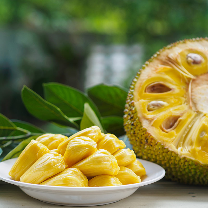 Can Jackfruit Be Part of a Keto Diet? The Truth About Jackfruit for Keto Diets