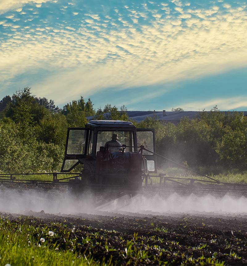 Cultivating