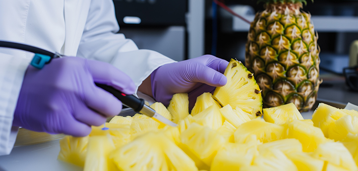 R&D services