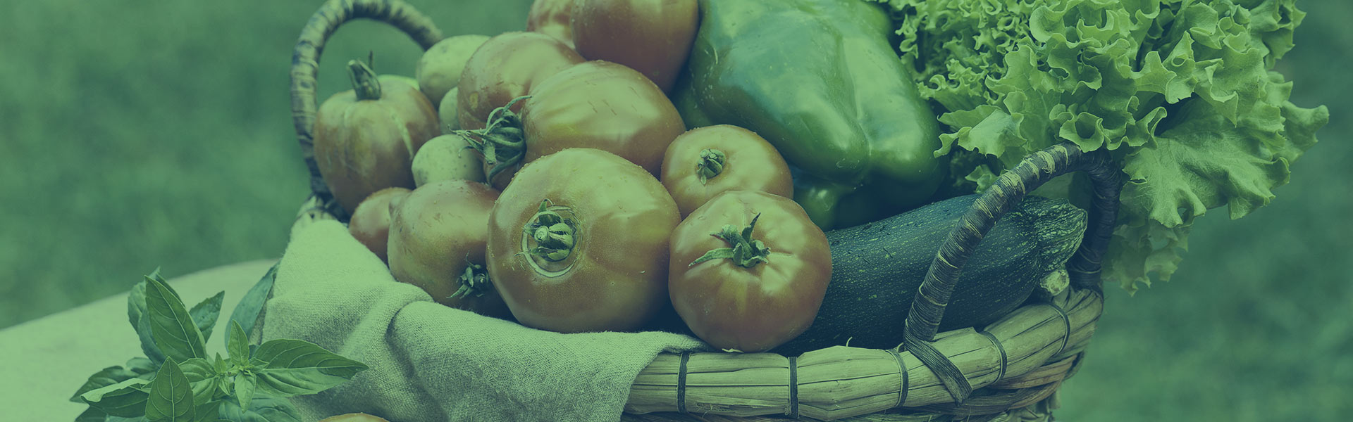 How to Read Organic Food Labels in 2025: What’s Changed?