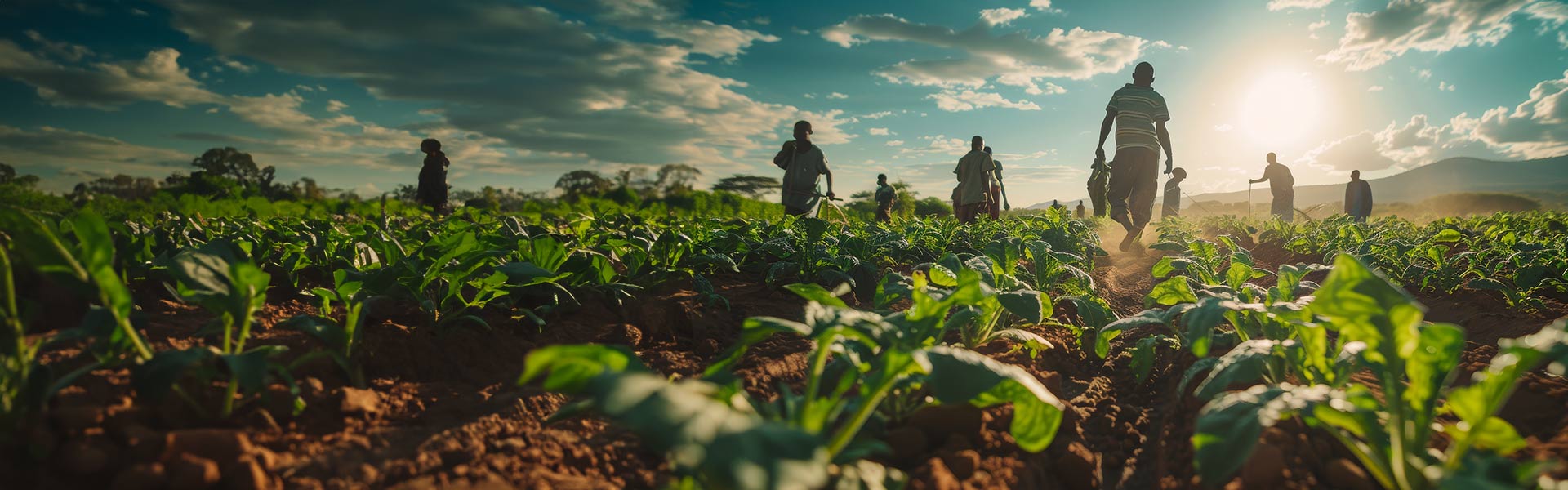 Our Commitment to Sustainability