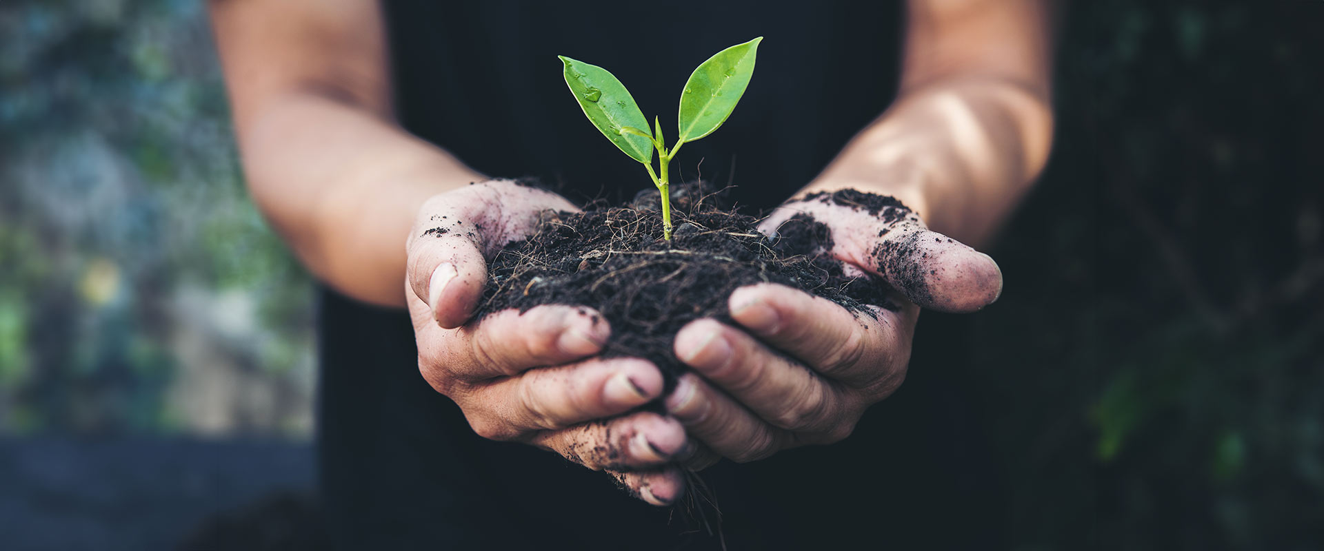 Our Commitment to Sustainability